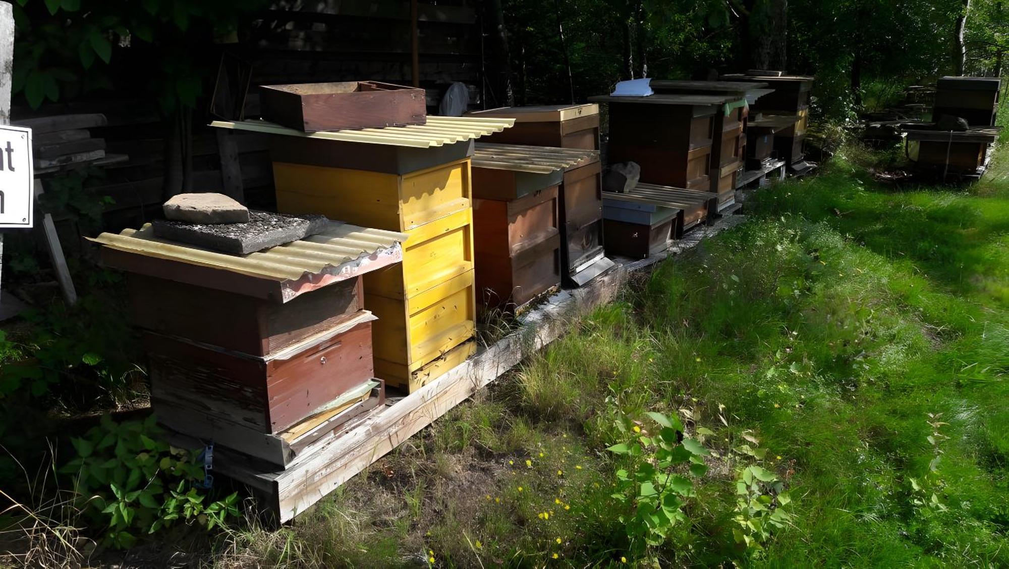Ferienwohnung Haus zur Bienenweide Schömberg Exterior foto