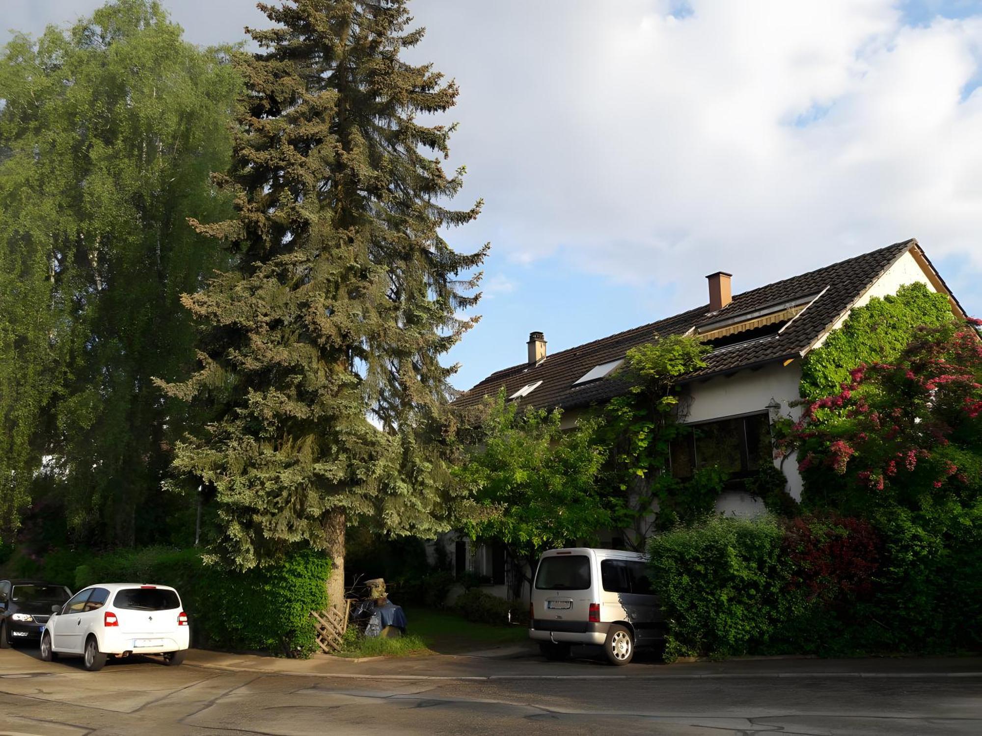 Ferienwohnung Haus zur Bienenweide Schömberg Exterior foto